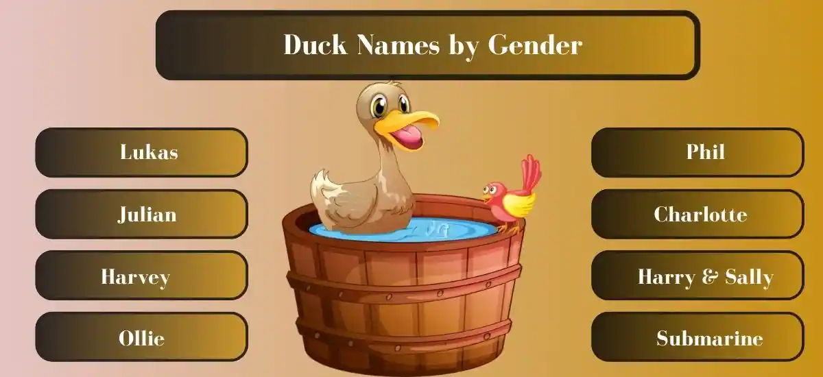 Duck Names