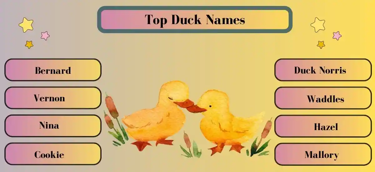 Duck Names