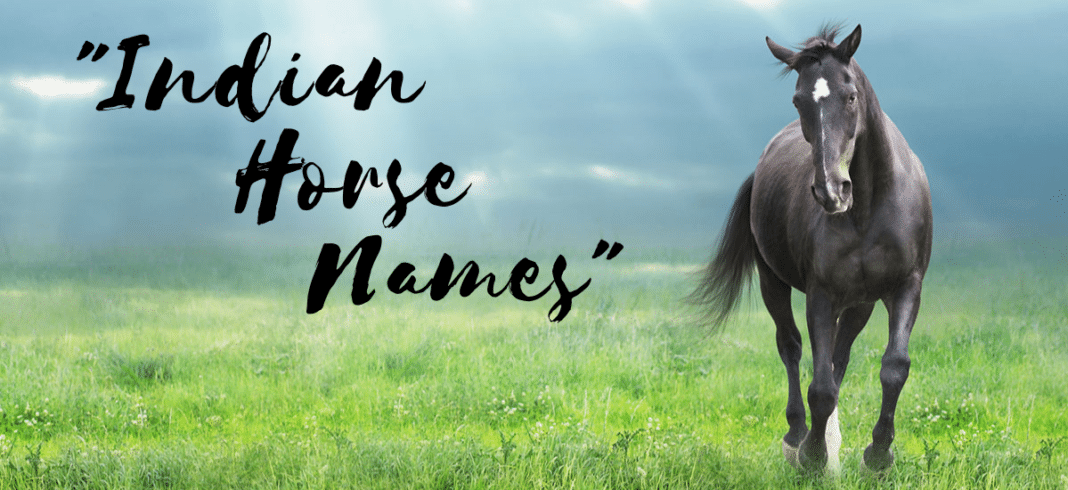 indian-horse-names