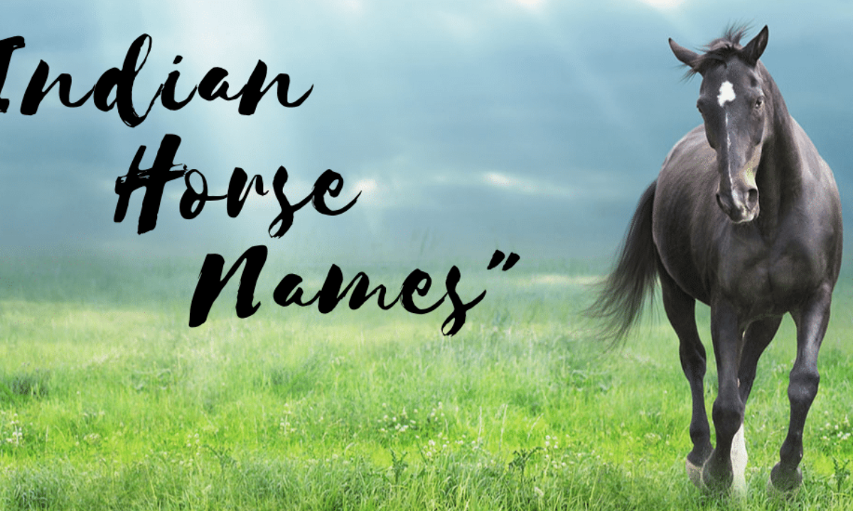 Indian Horse Names