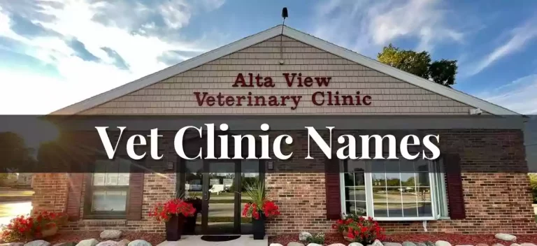 Vet Clinic Names