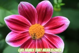 Girl Names That Mean Flower