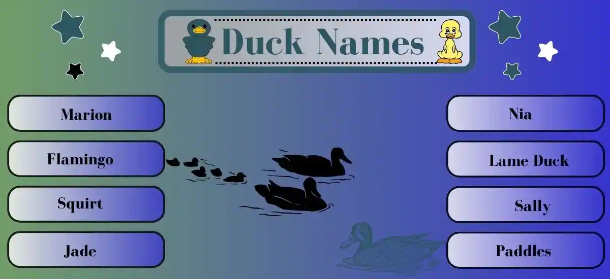 Duck Names