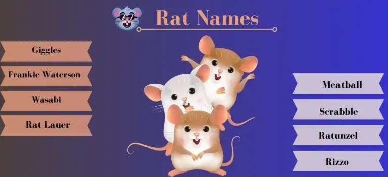 Rat Names