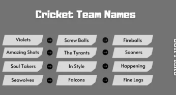 499+ Cricket Team Names For Cricket Tournaments